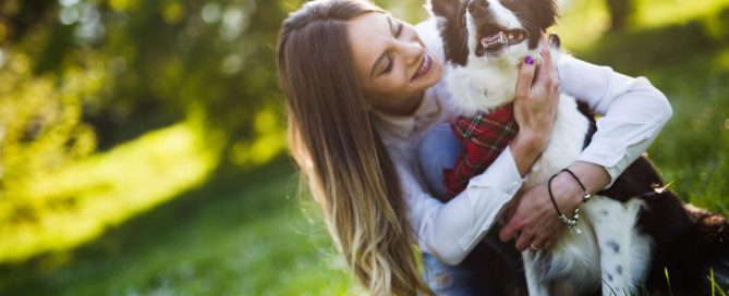 animais de estimação