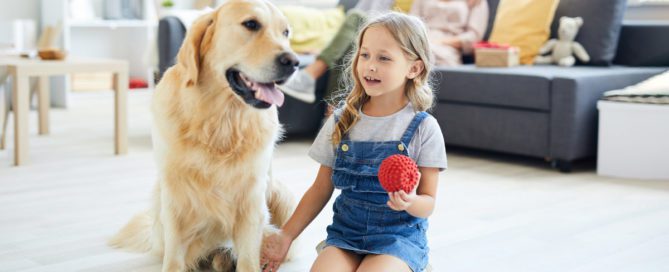 Brincadeiras em casa animais estimação