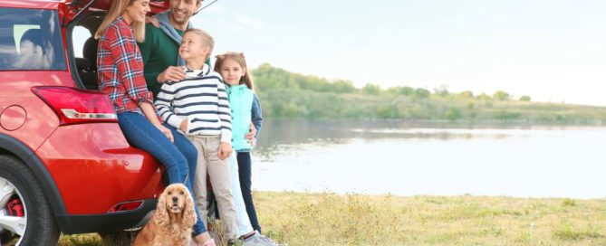 Viajar com animais