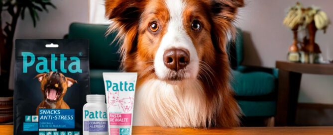 Patta + animais